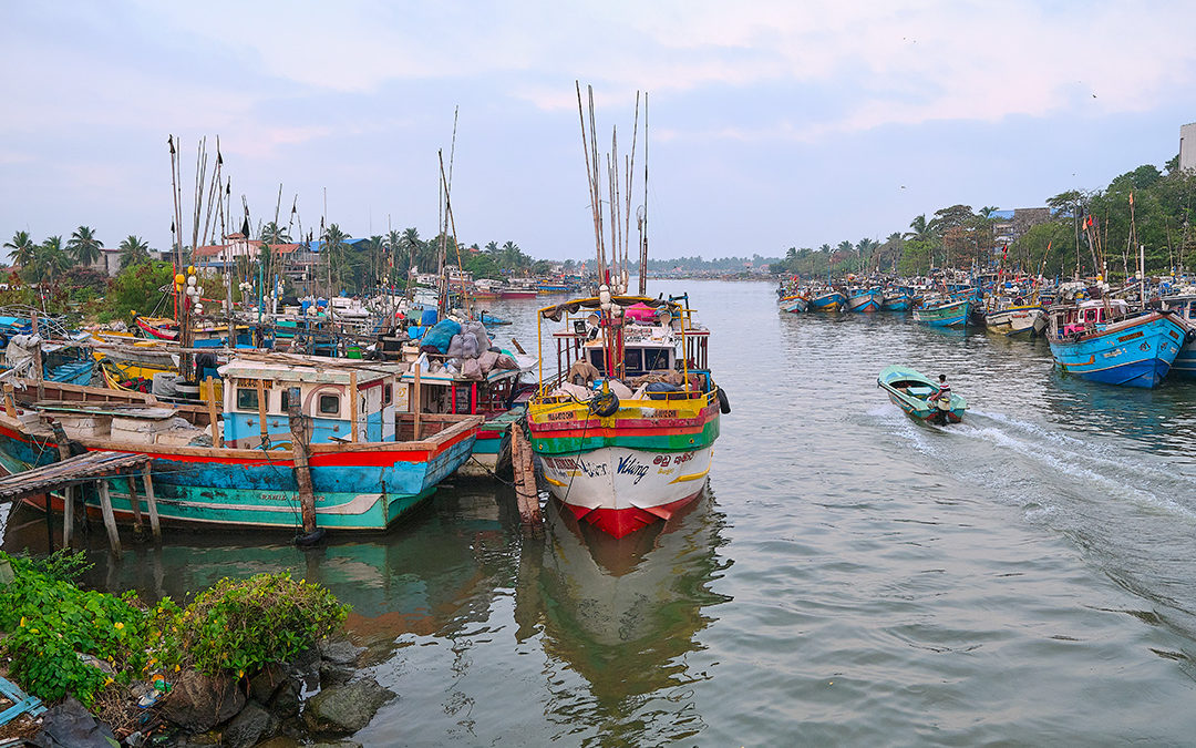 Negombo’s history is steeped in fishing, which is still the town’s mainstay